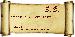 Steinfeld Bálint névjegykártya